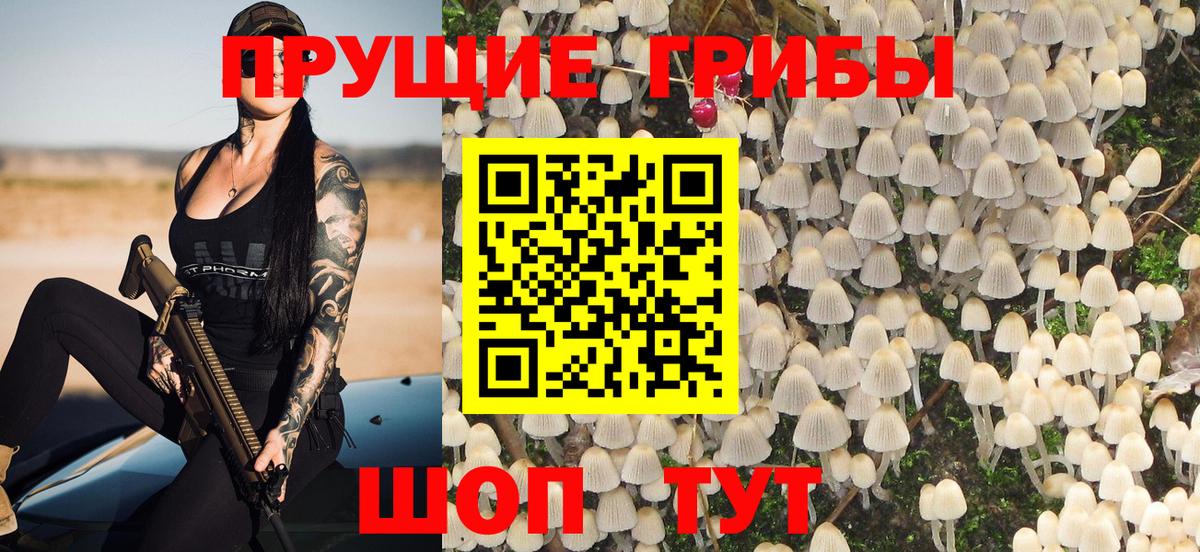 Псилоцибиновые грибы прущие грибы Печора