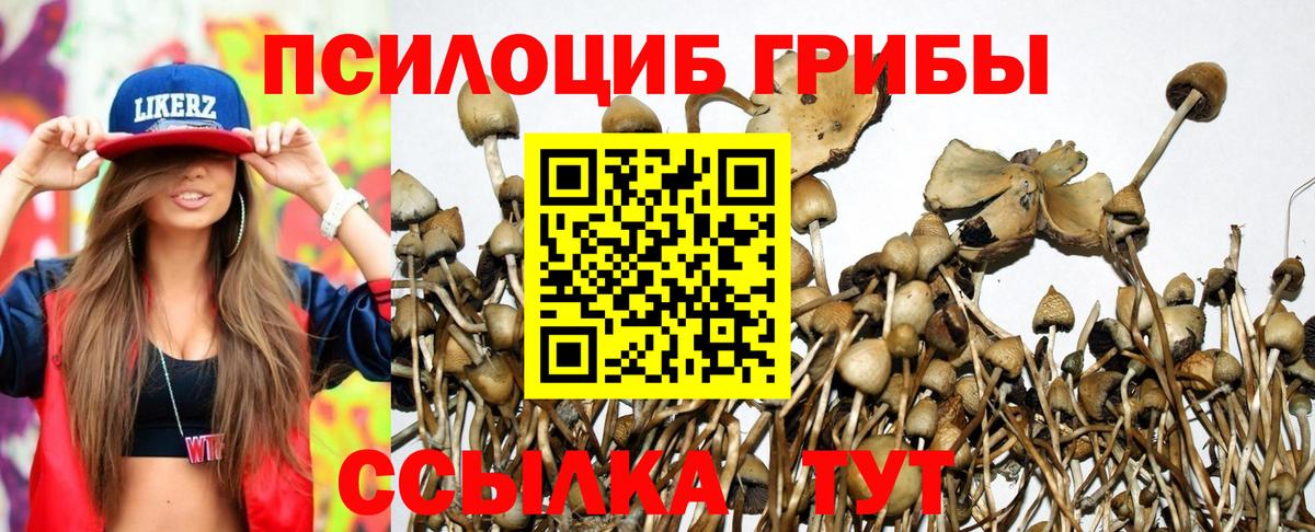 купить наркоту  Псилоцибиновые грибы Magic Shrooms  Псилоцибиновые грибы Cubensis  Вход с VPN  Печора 